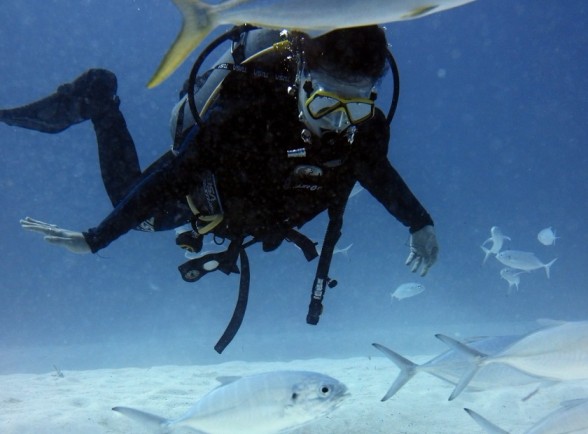 How Do Scuba Divers Communicate Underwater