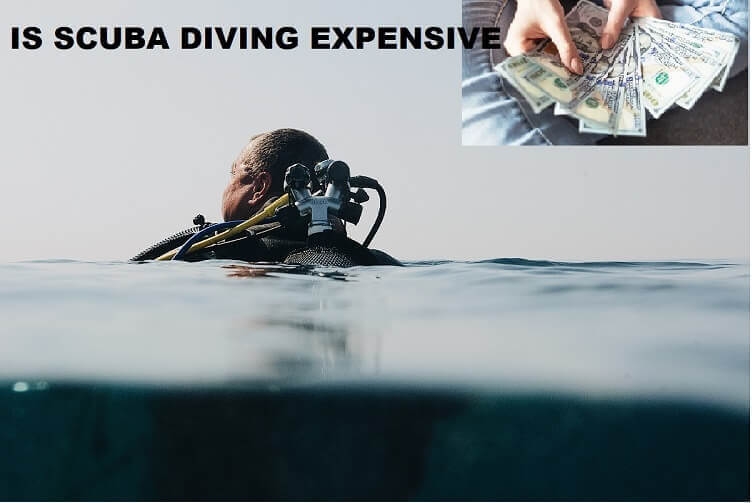 is scuba diving expensive