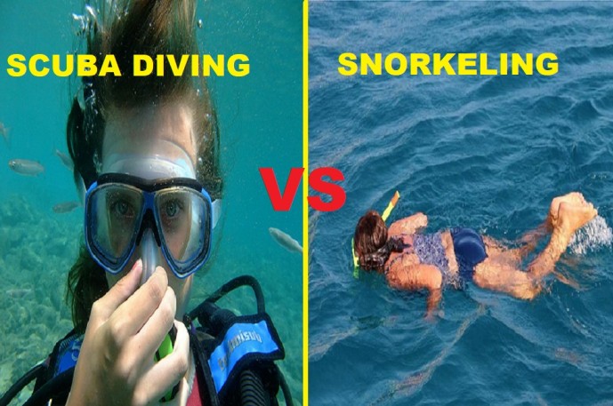 Scuba Diving or Snorkeling Which Is Better