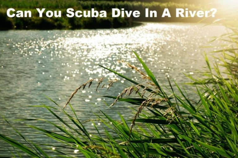 Can You Scuba Dive In A River?
