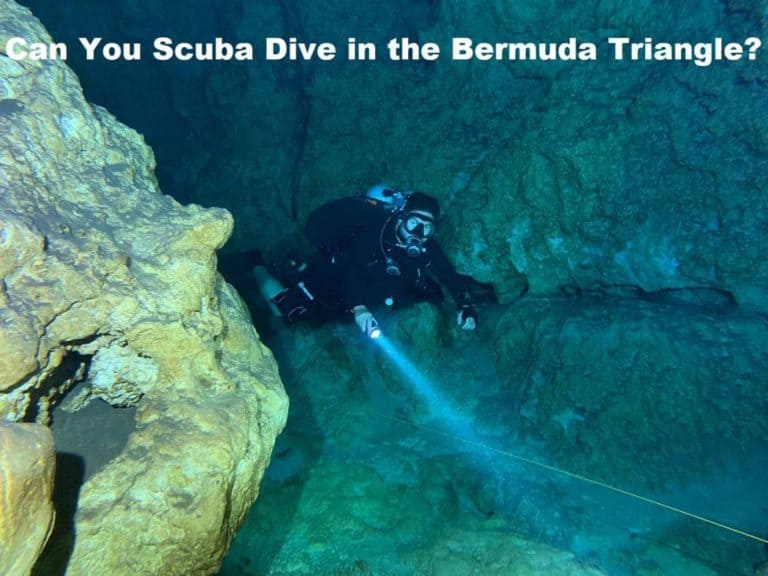 Can You Scuba Dive in the Bermuda Triangle