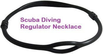 Scuba diving Christmas present